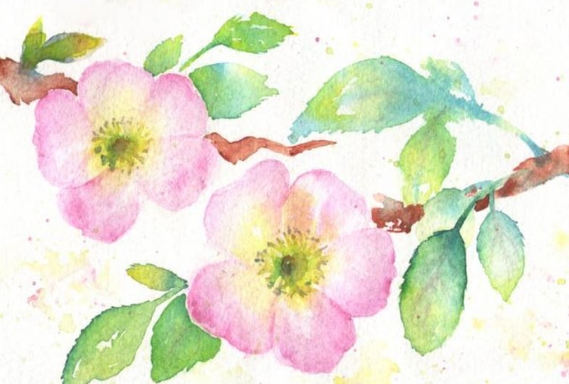 Brave flowers