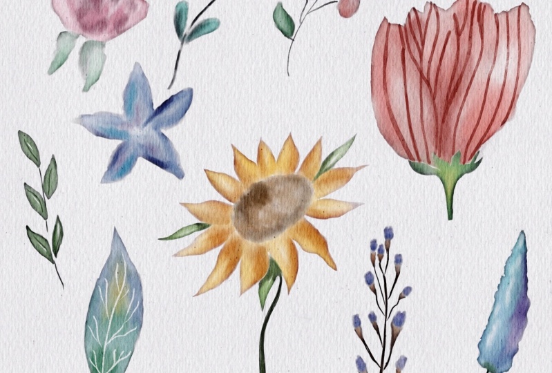 Watercolor stickers