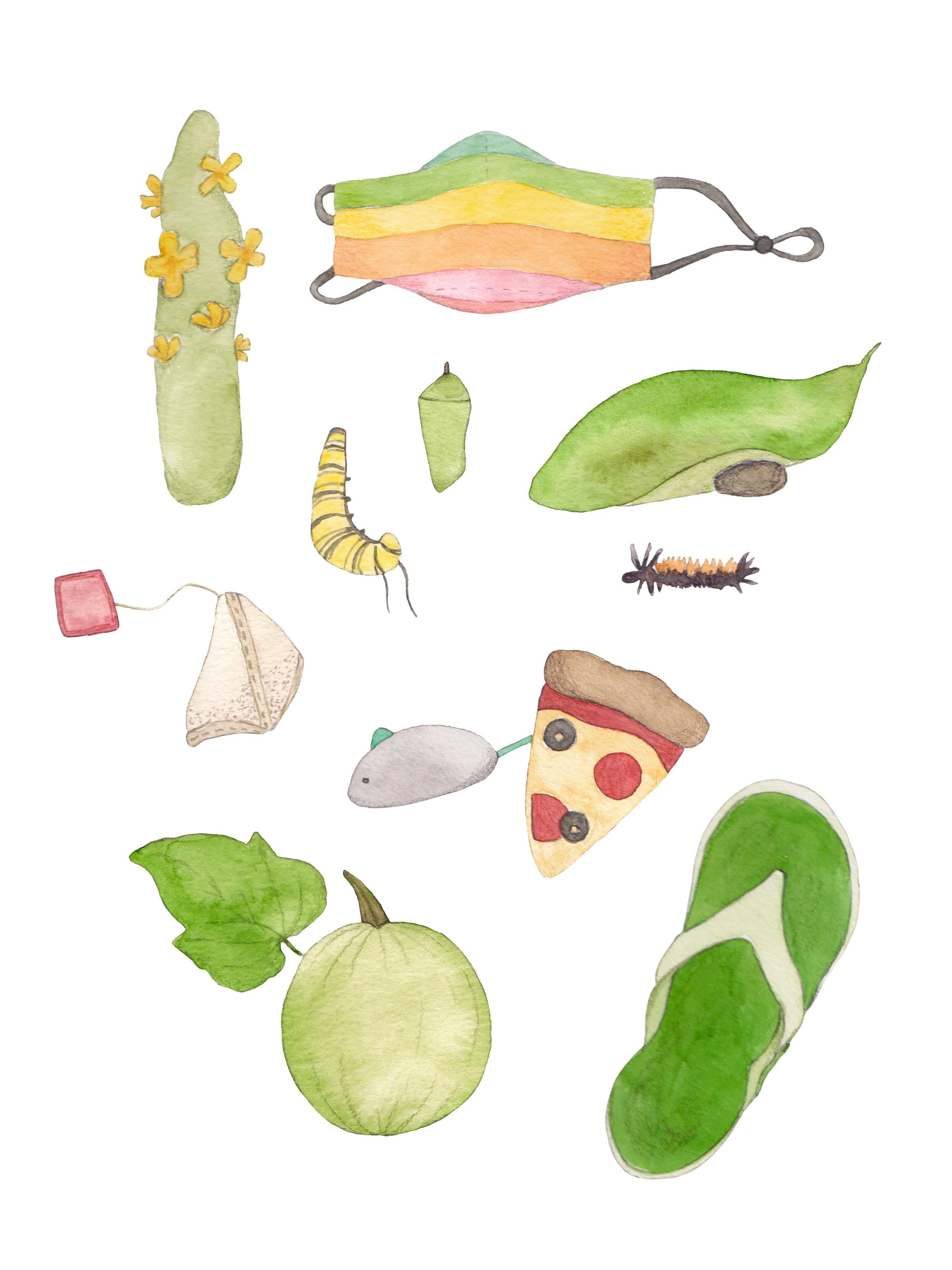 more-projects-from-class-img