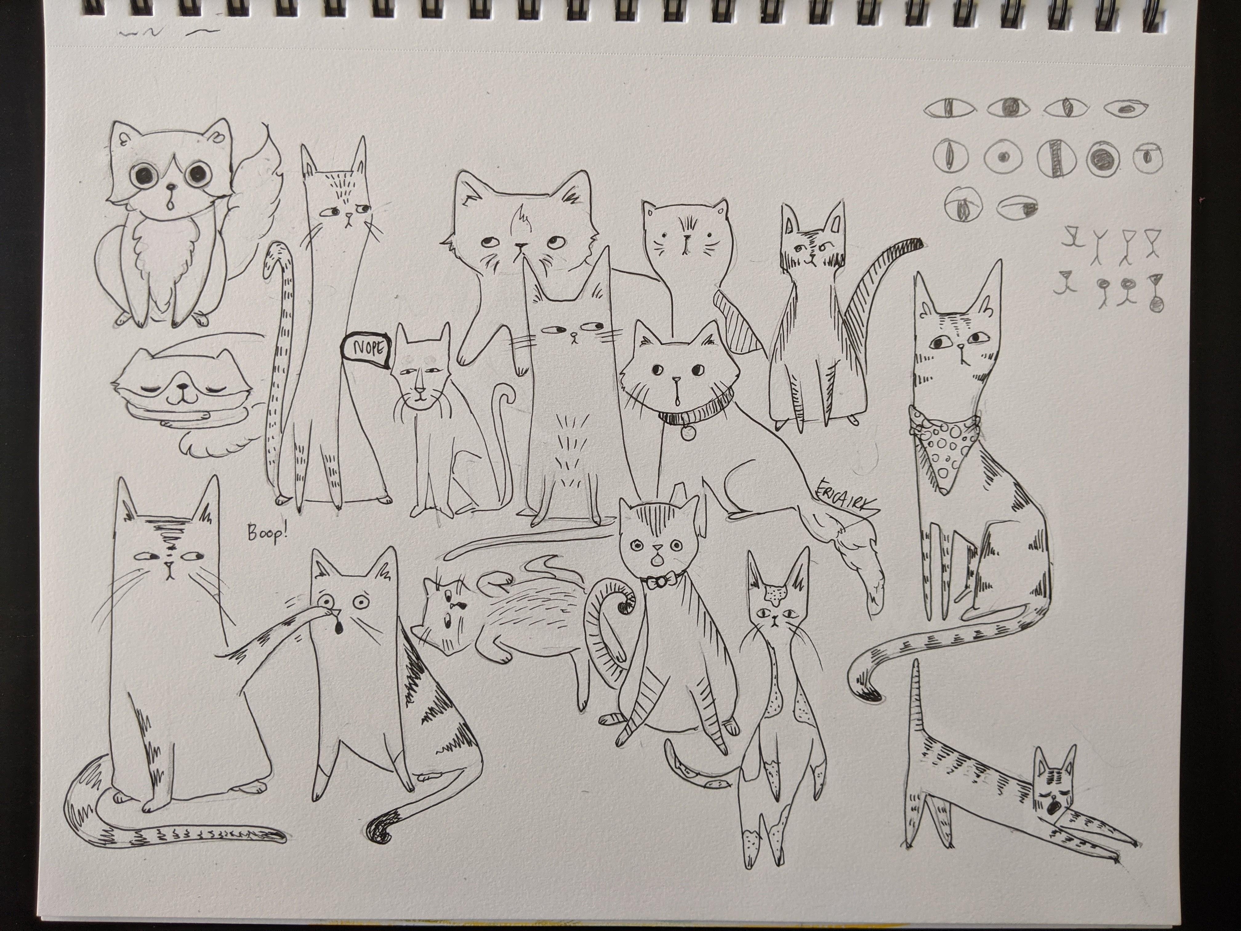 So many cats! - student project