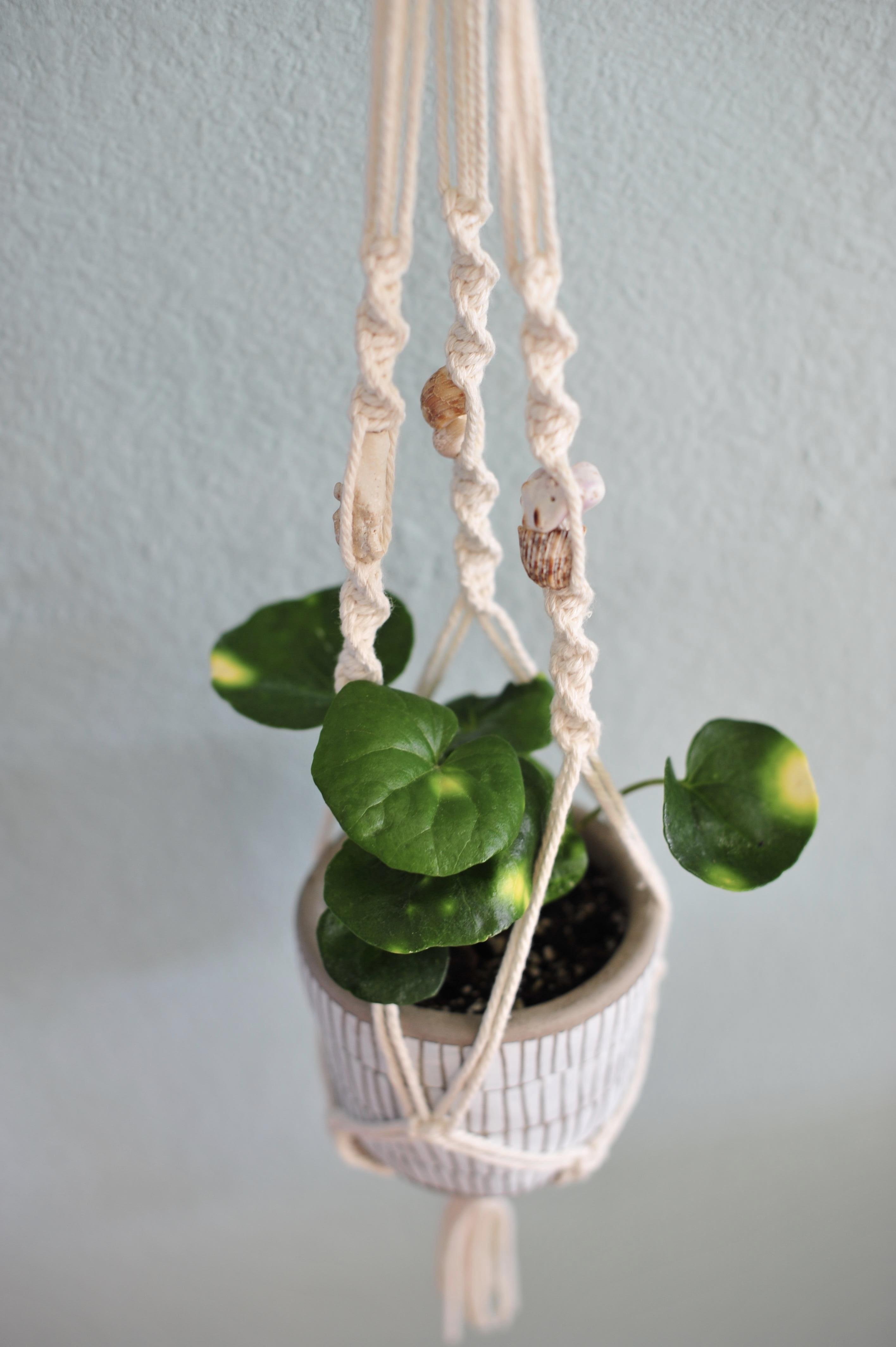 First macrame plant hanger... - student project