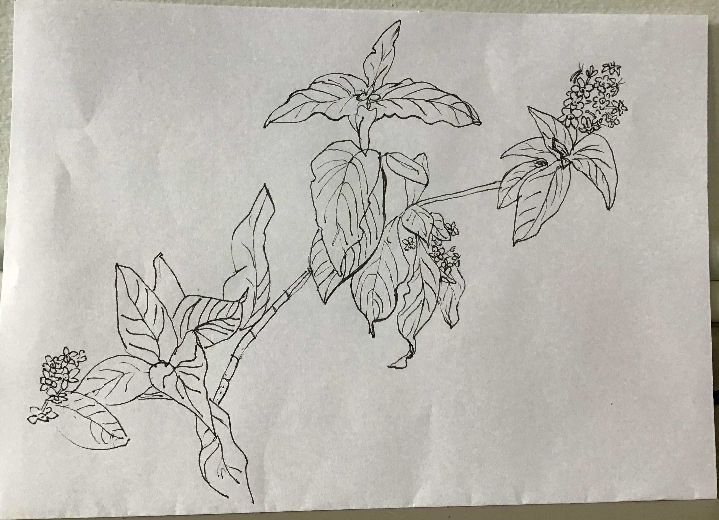 more-projects-from-class-img