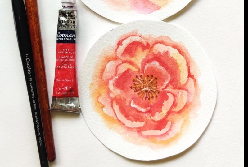 Loose Peonies in watercolor