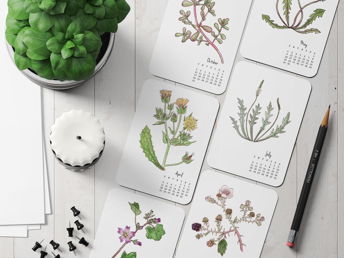 Weeds & Wildflowers Calendar - student project