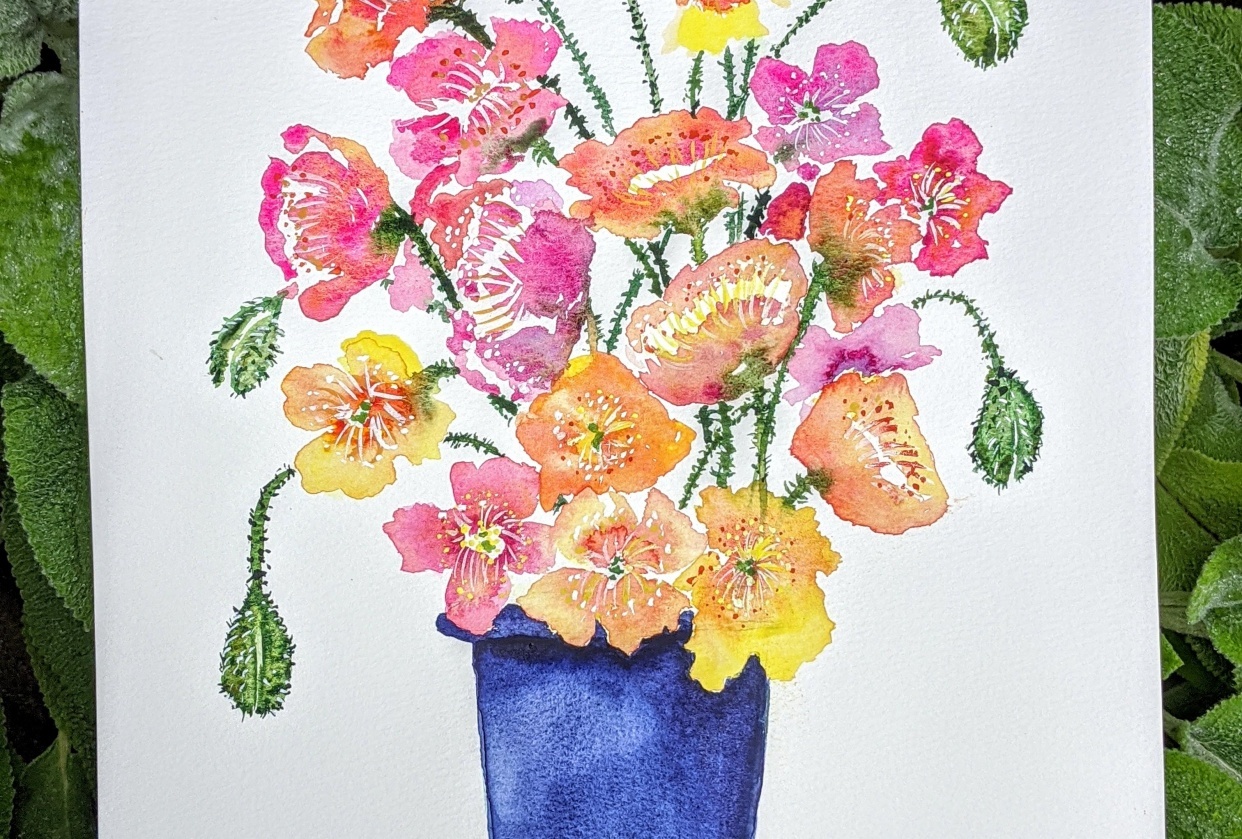 Poppies and Buds - student project