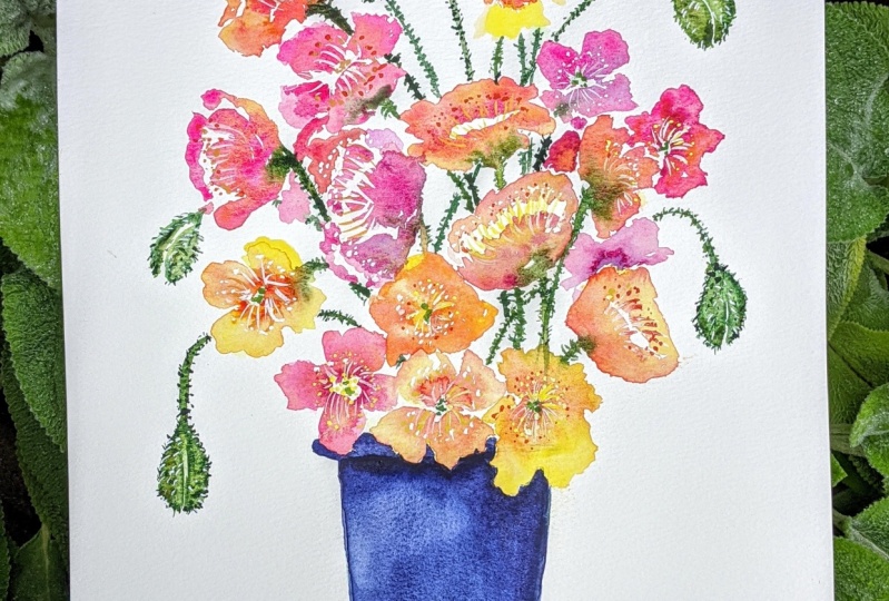 Poppies and Buds