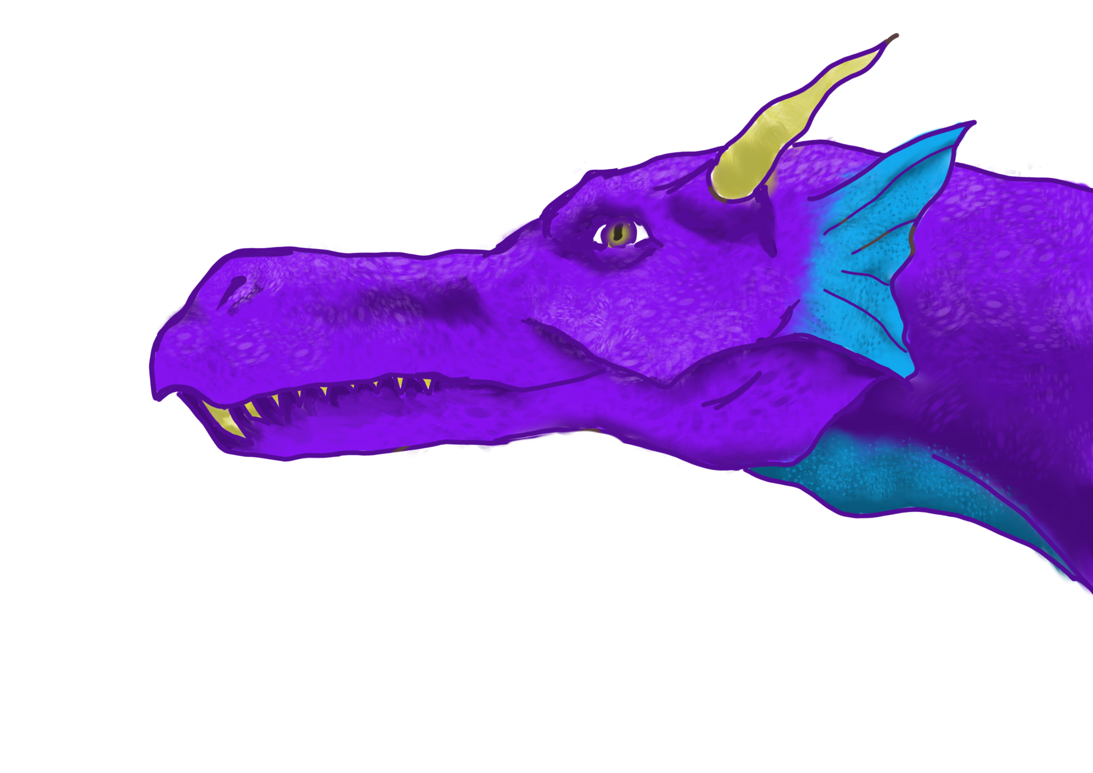 Dragon - student project