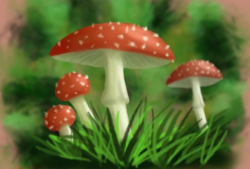 Mushrooms!