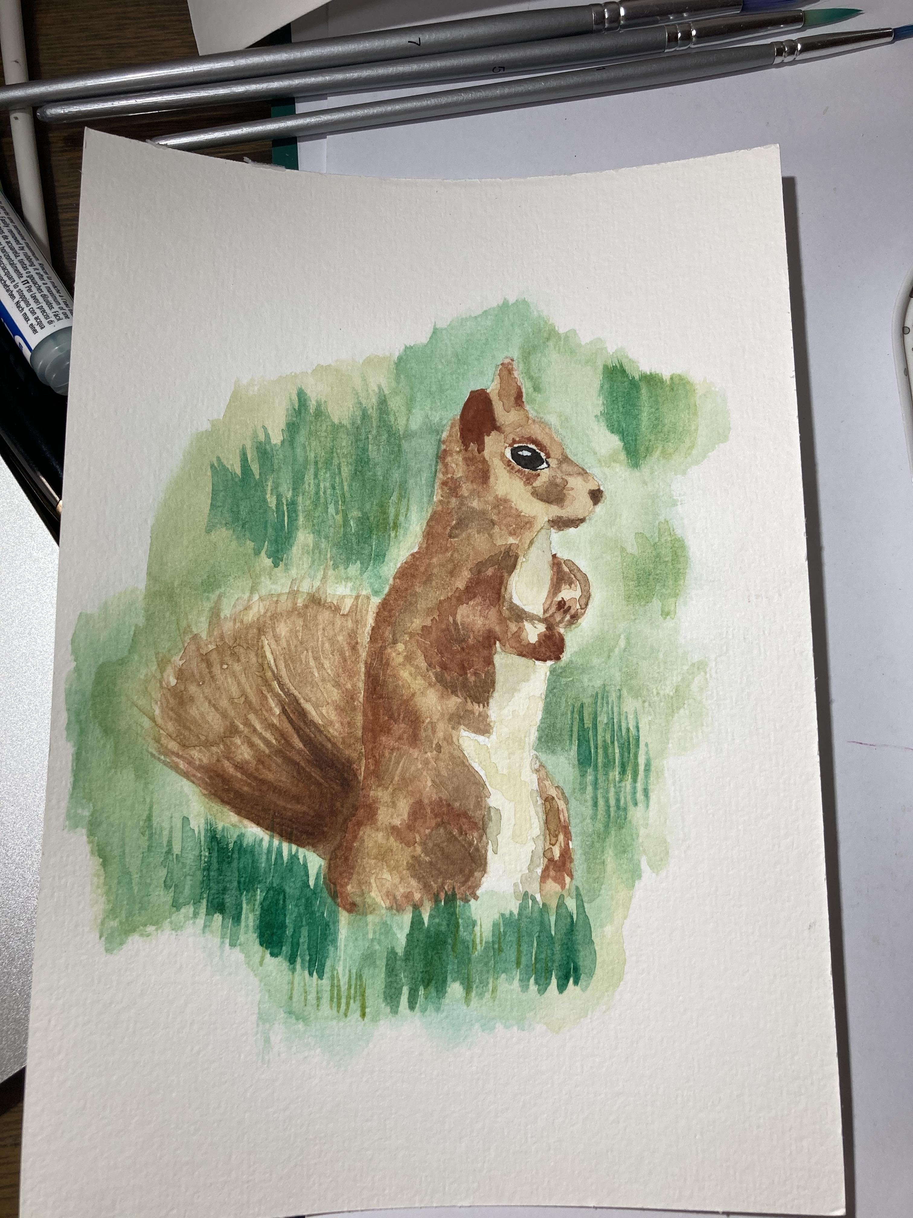 Squirrel - student project
