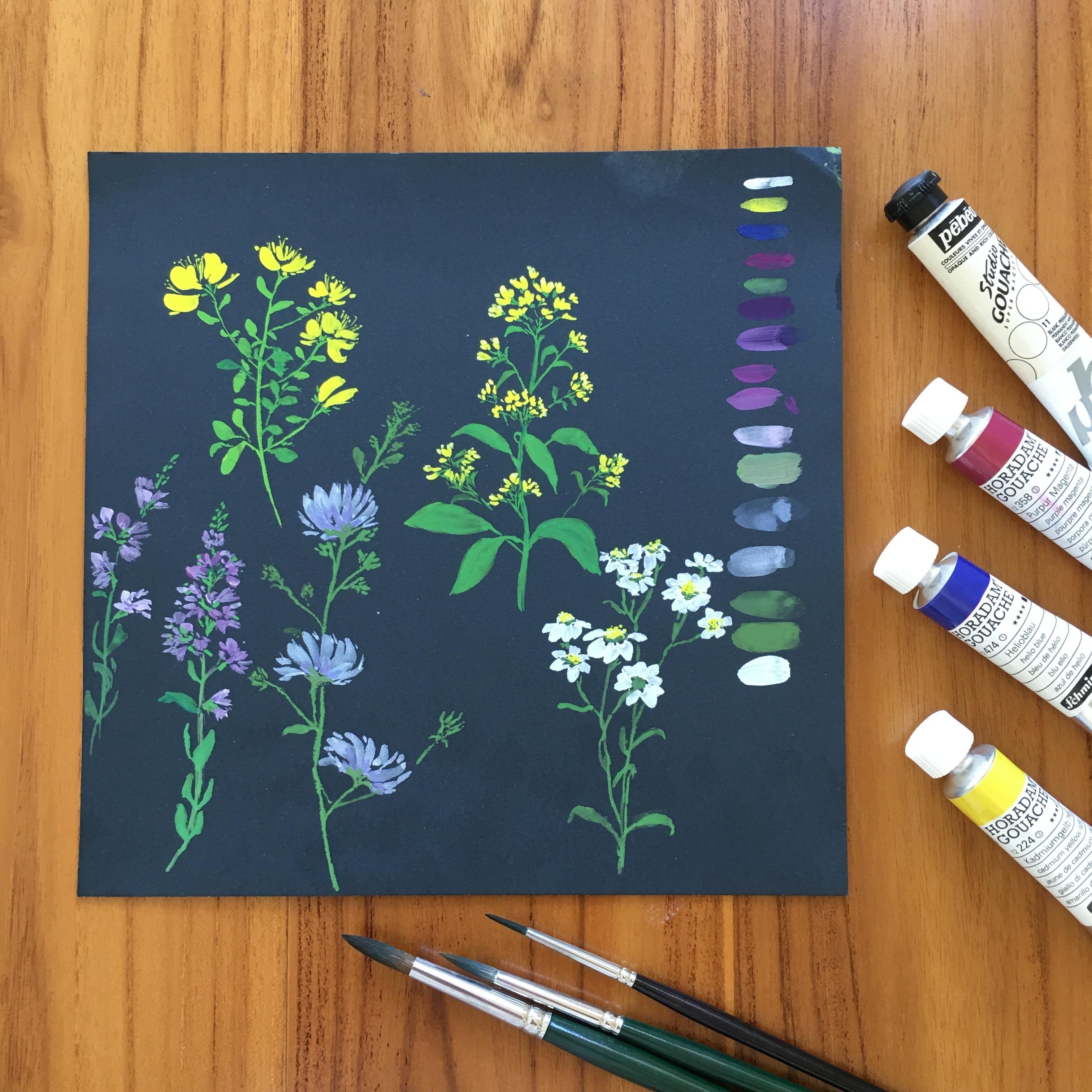 Gouache Wildflowers - student project