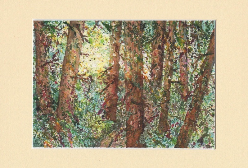 Forest Trail