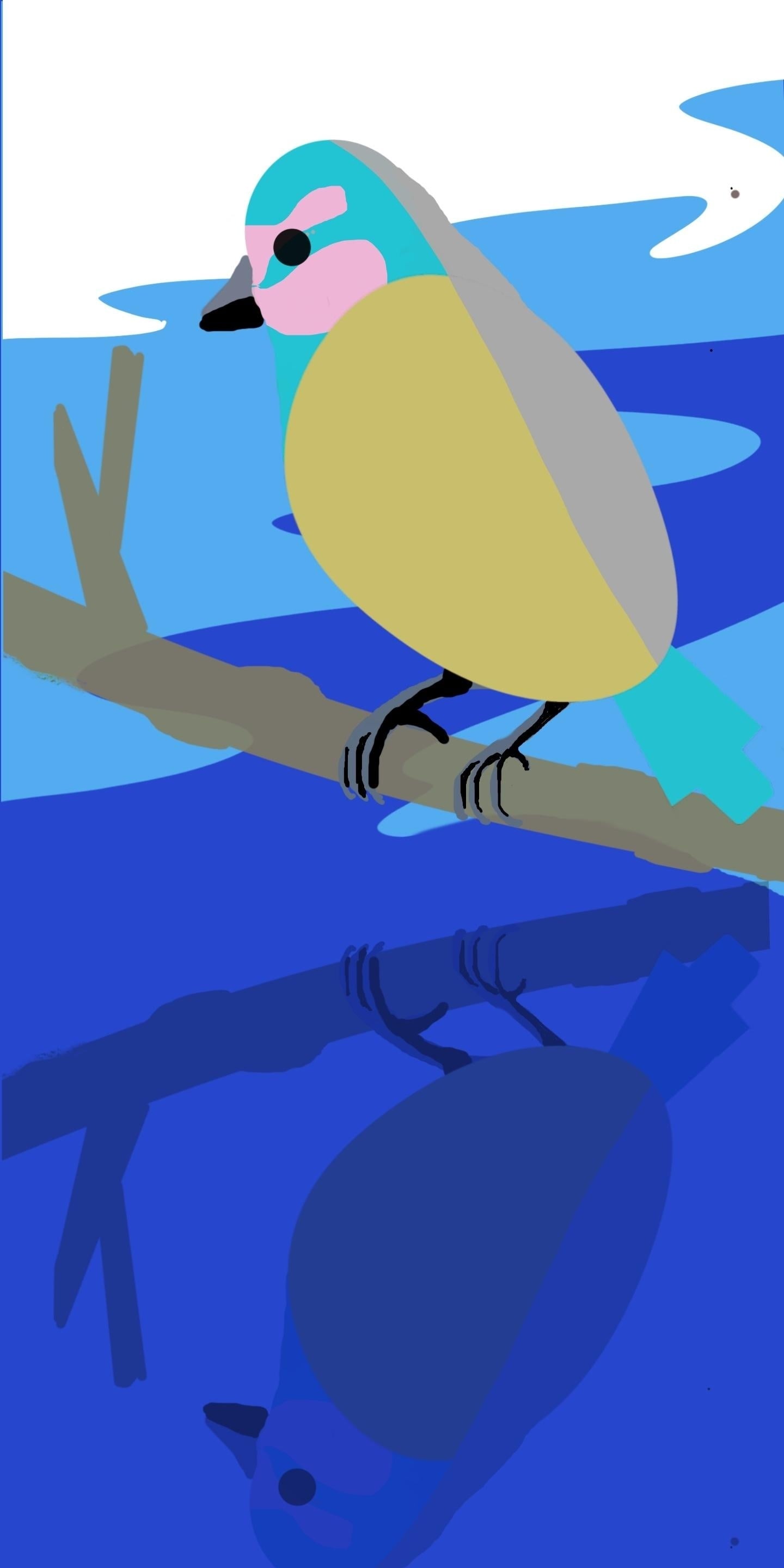 more-projects-from-class-img