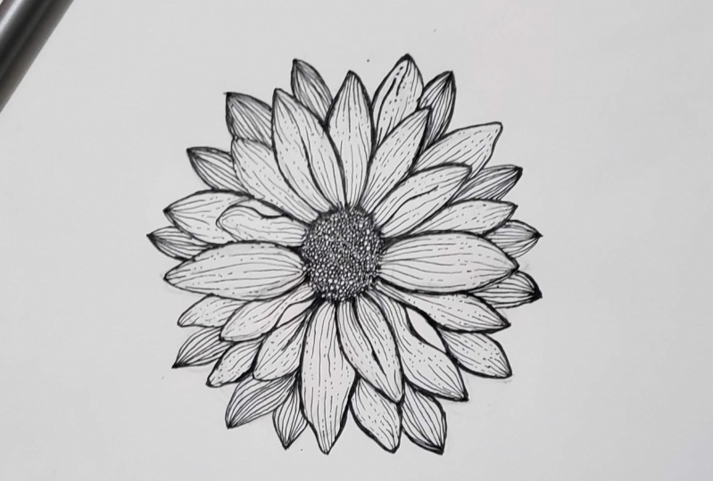 Daisy