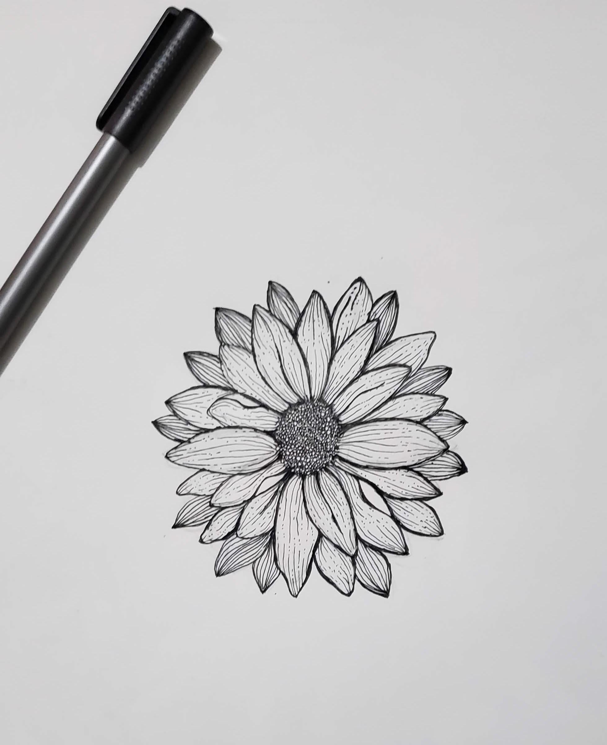 Daisy - student project