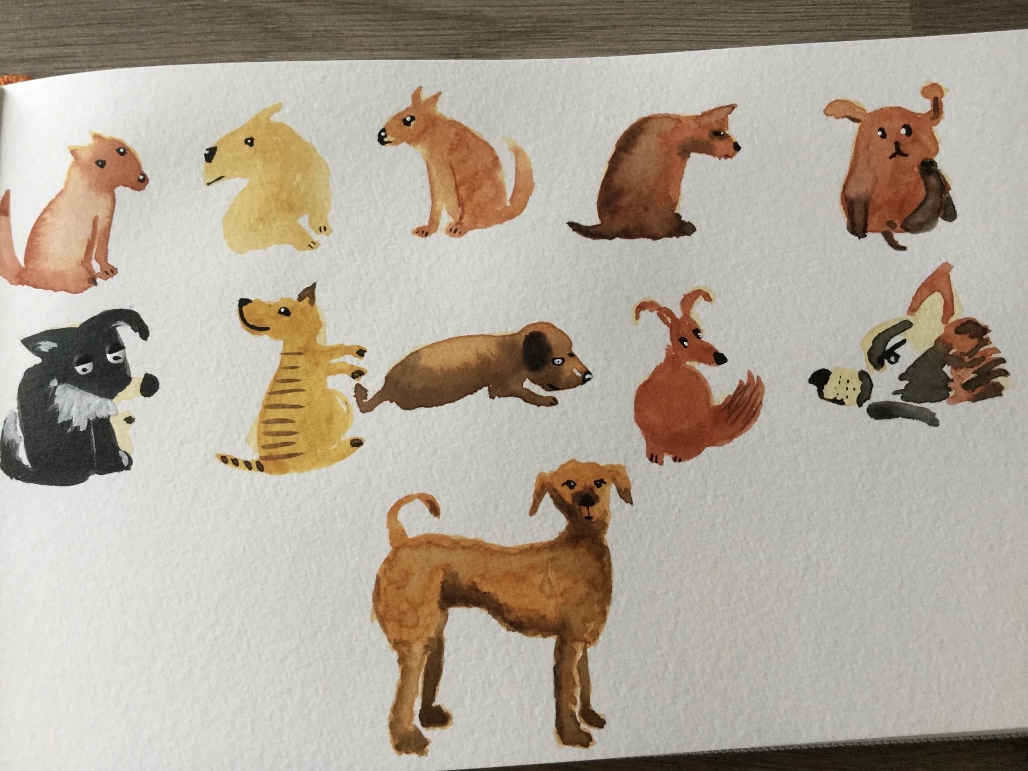 Doggie Doodles - student project