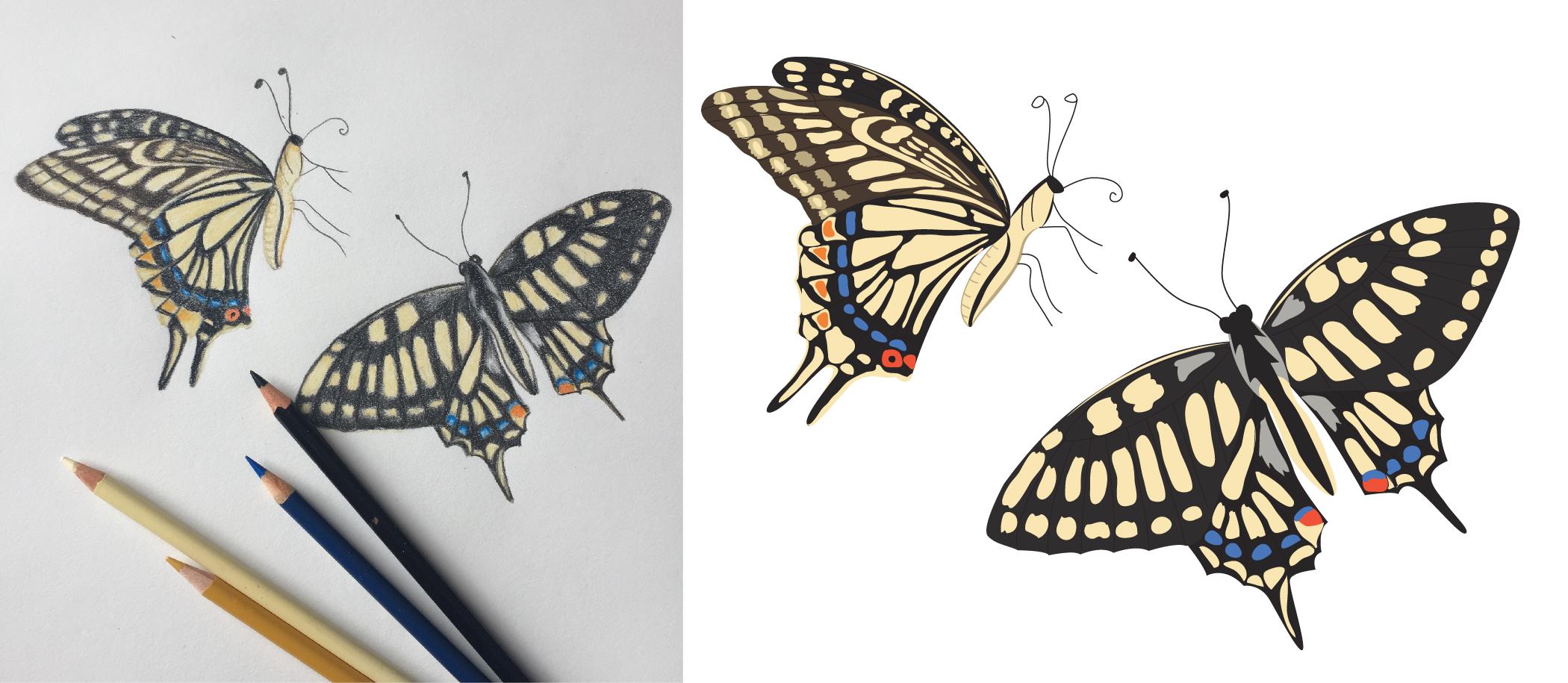 Create an Illustrative Bird Butterfly Vector Pattern in 