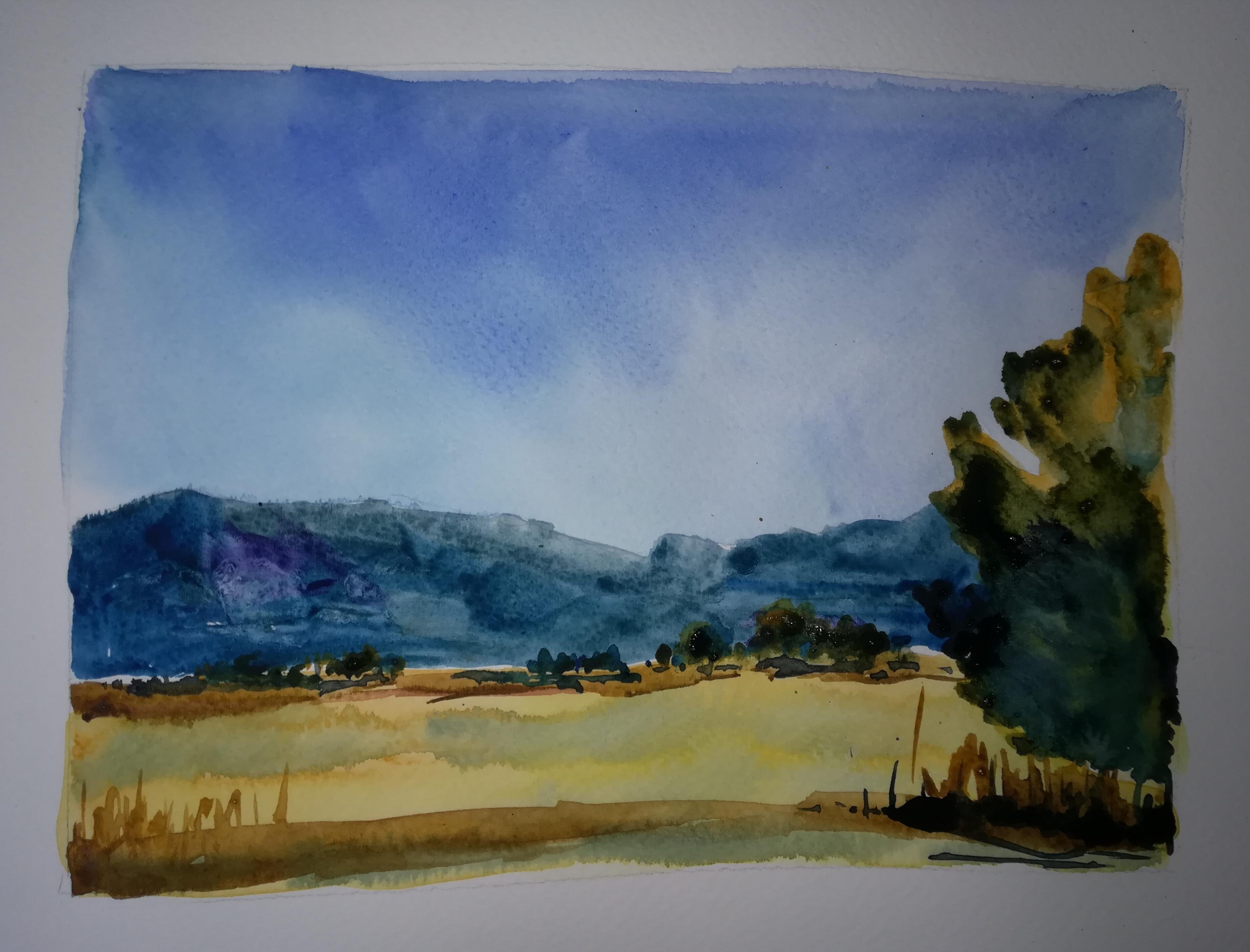 Landscape - student project