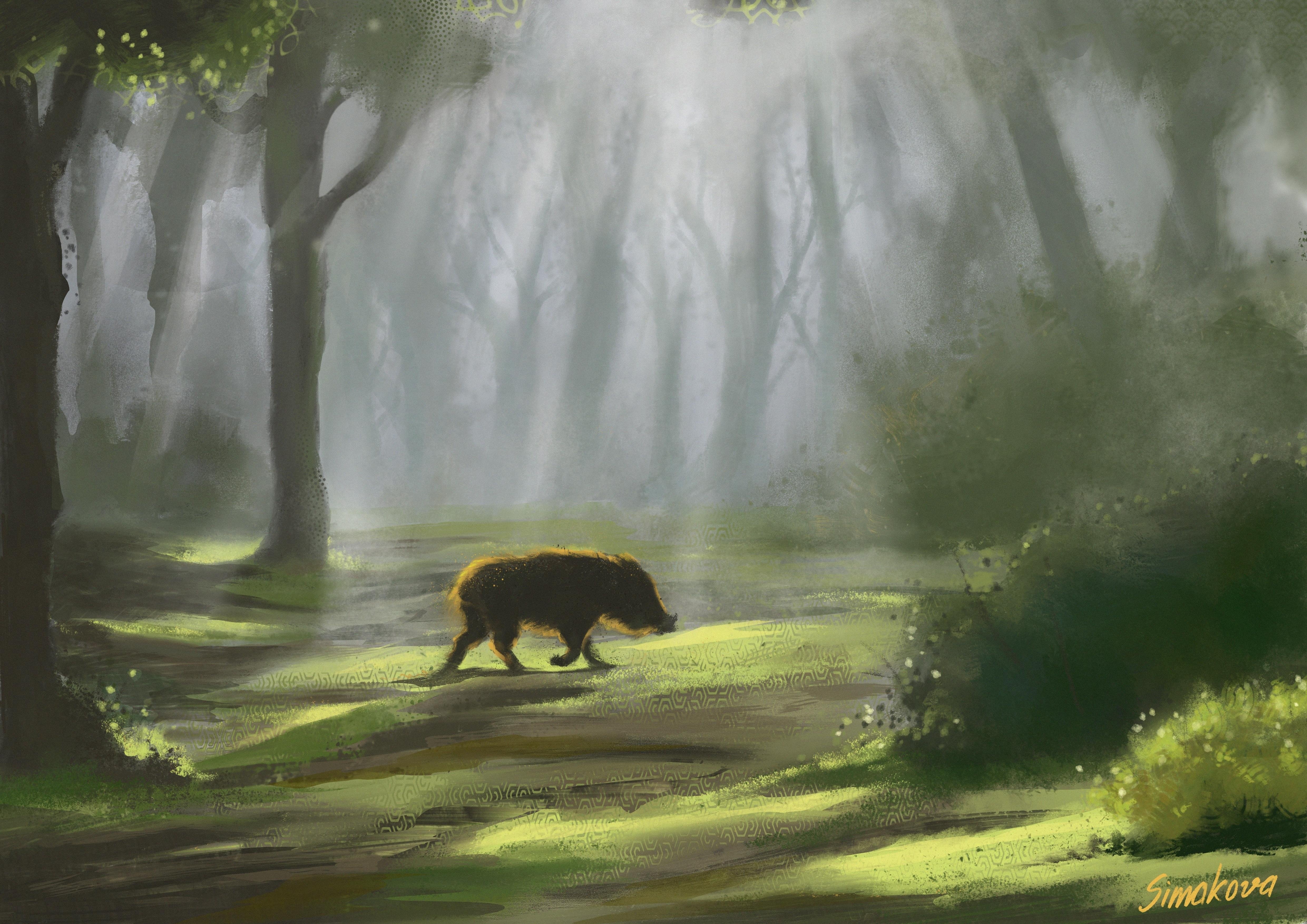 Forest - student project