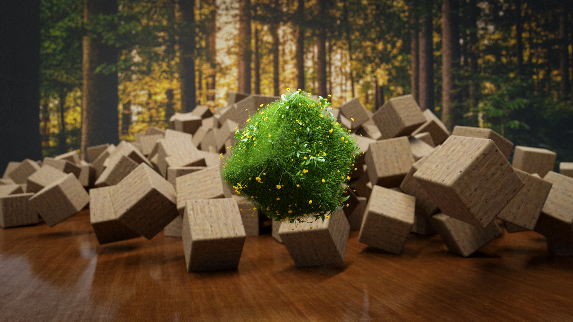 Grassy cube - student project