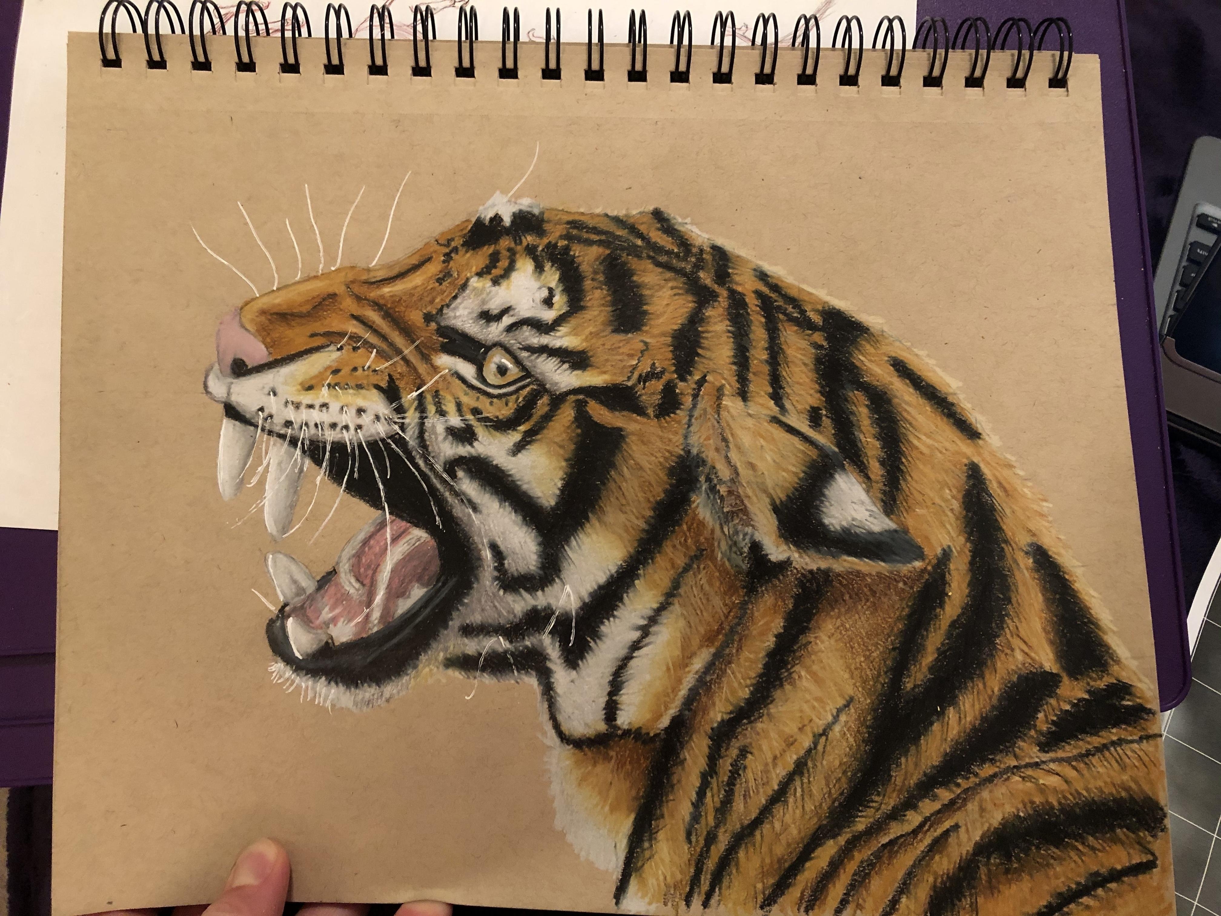 Tiger King - student project