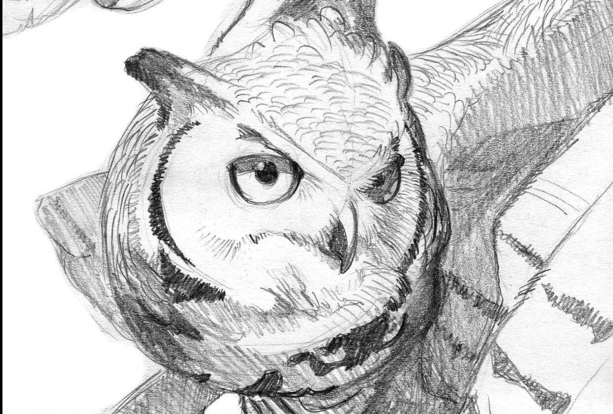 Owls - student project