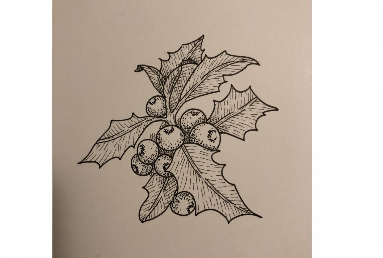 Ilex - student project