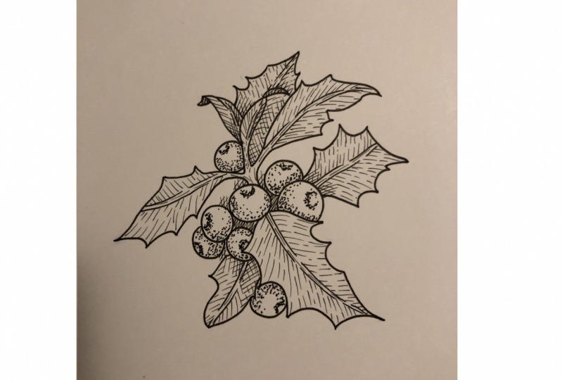 Ilex