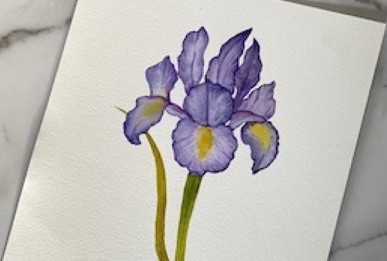 Lootanical Iris