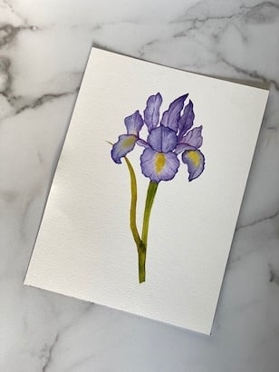 Lootanical Iris - student project
