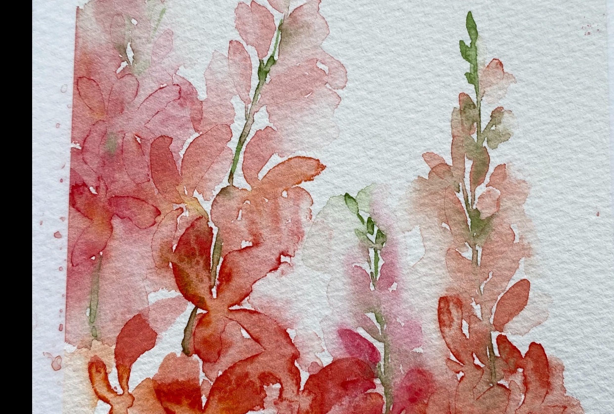 Snap Dragons - student project