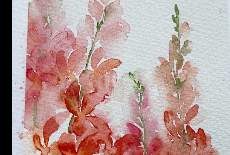 Snap Dragons
