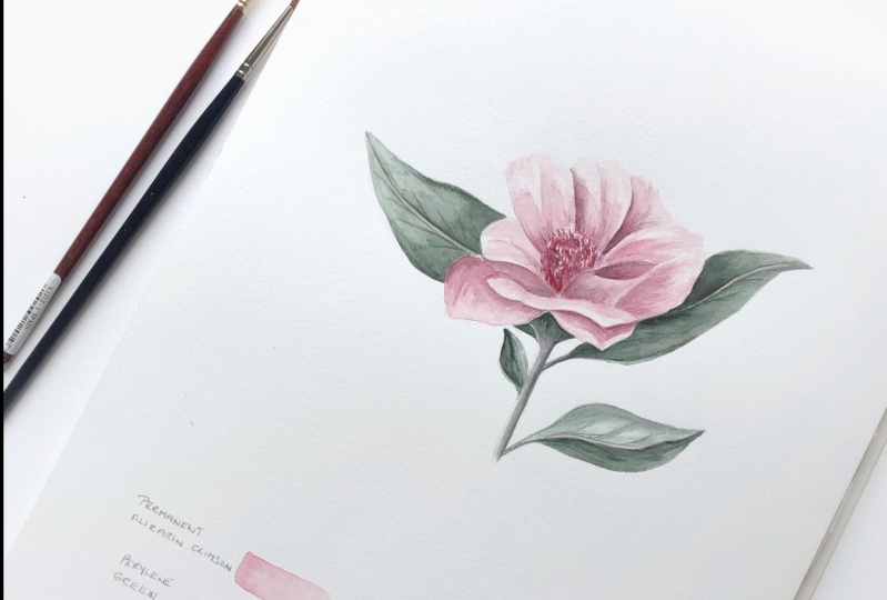 Simple Pink Flower