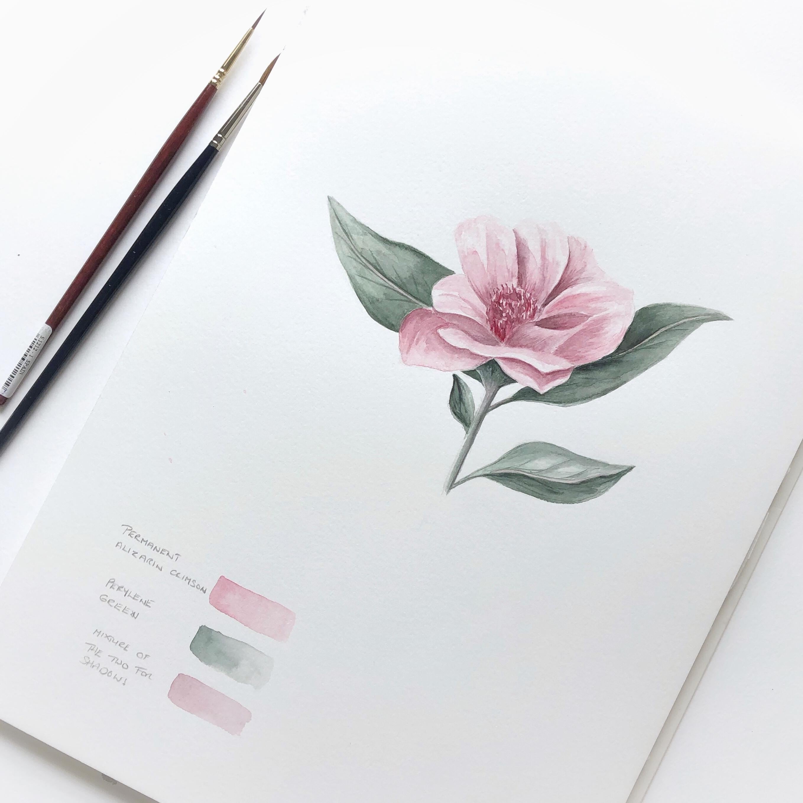 Simple Pink Flower - student project