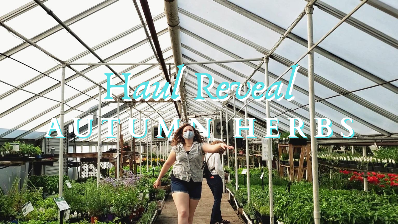 Autumn Herb Haul and Garden Planning - student project