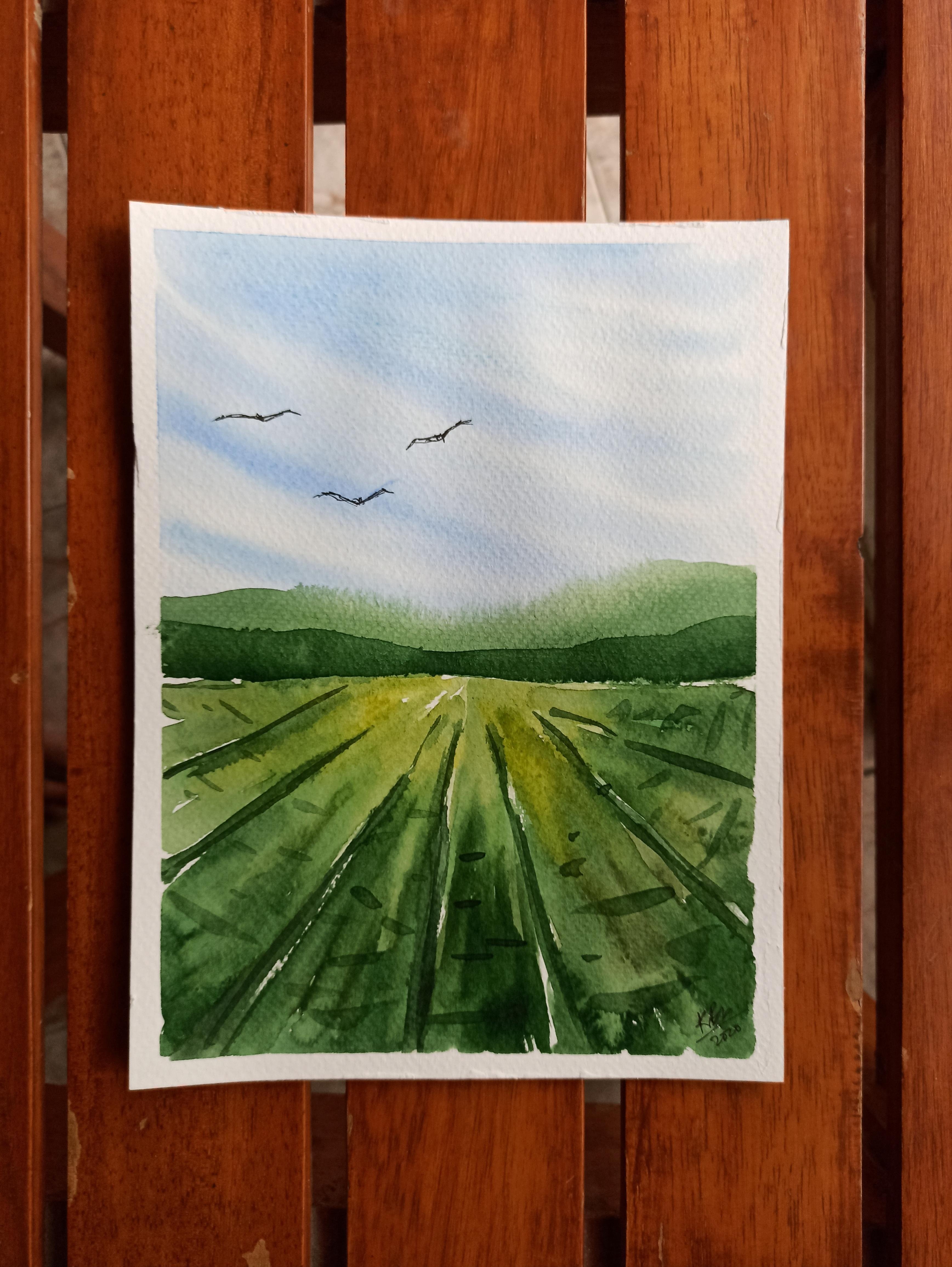 Fields Expressive Landscape - student project