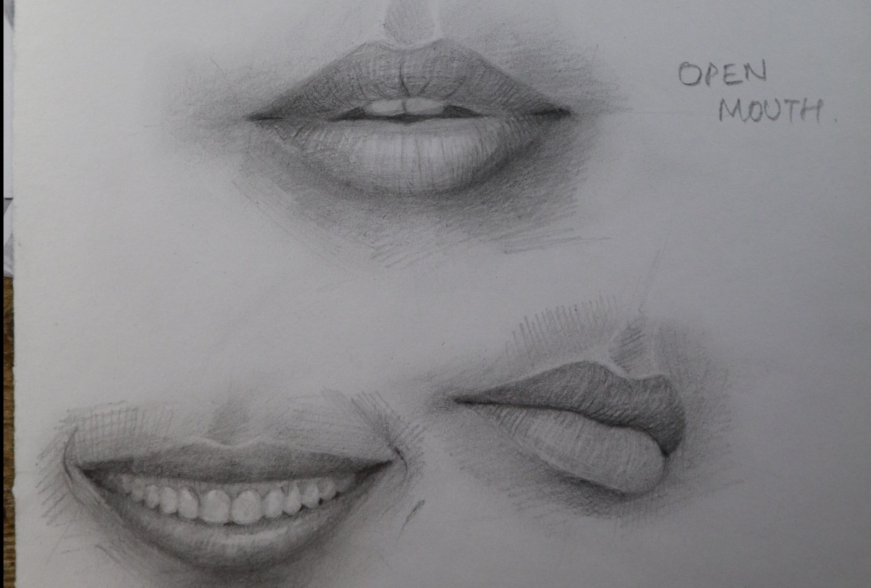 Drawing lips in different angles and features - student project