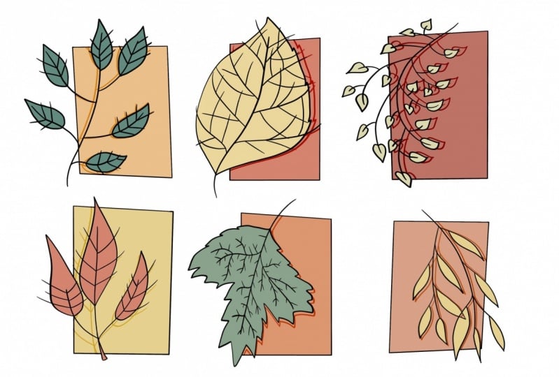 Autumn leaves