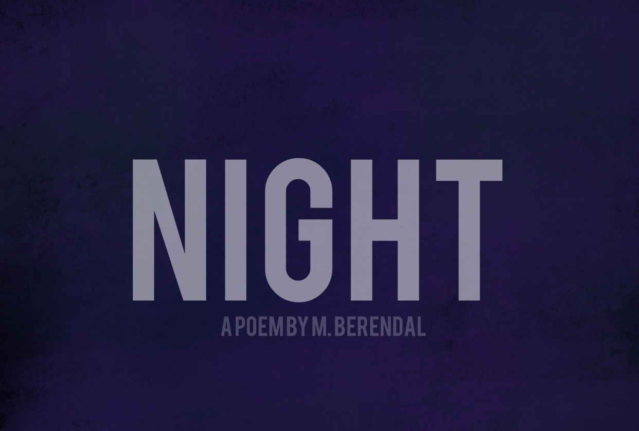 Night - student project