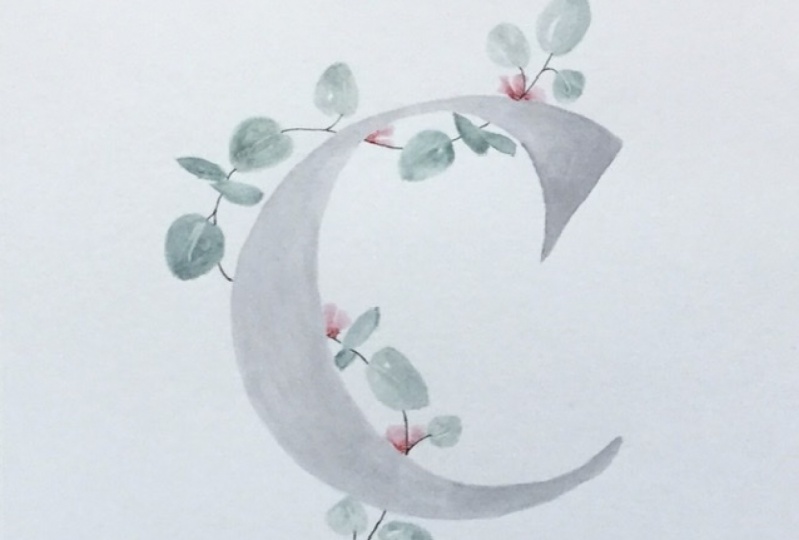 Eucalyptus watercolor