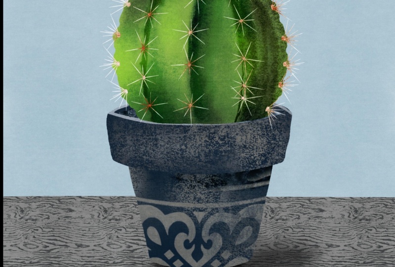 Cactus
