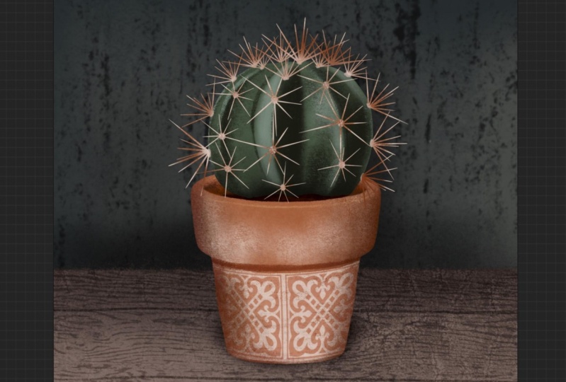 Cactus!