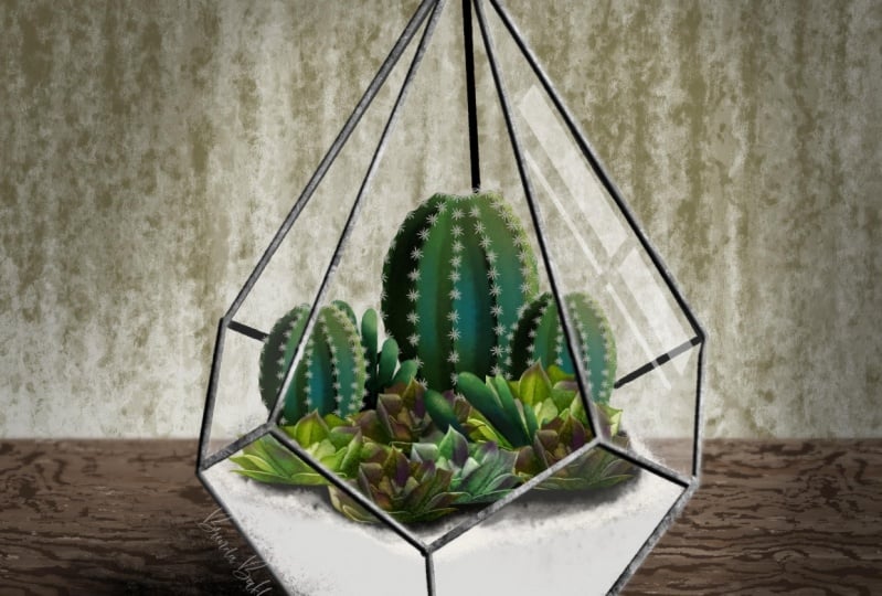 Glass pyramid with cacti and succulents