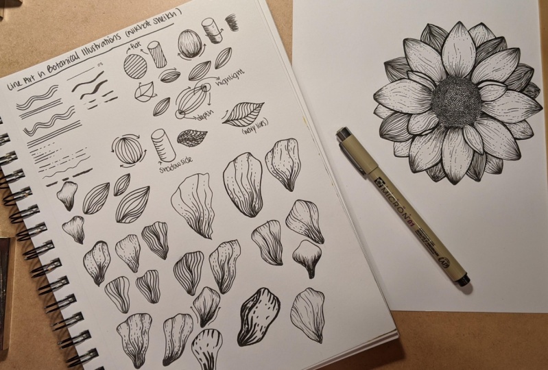 Notes & Flower