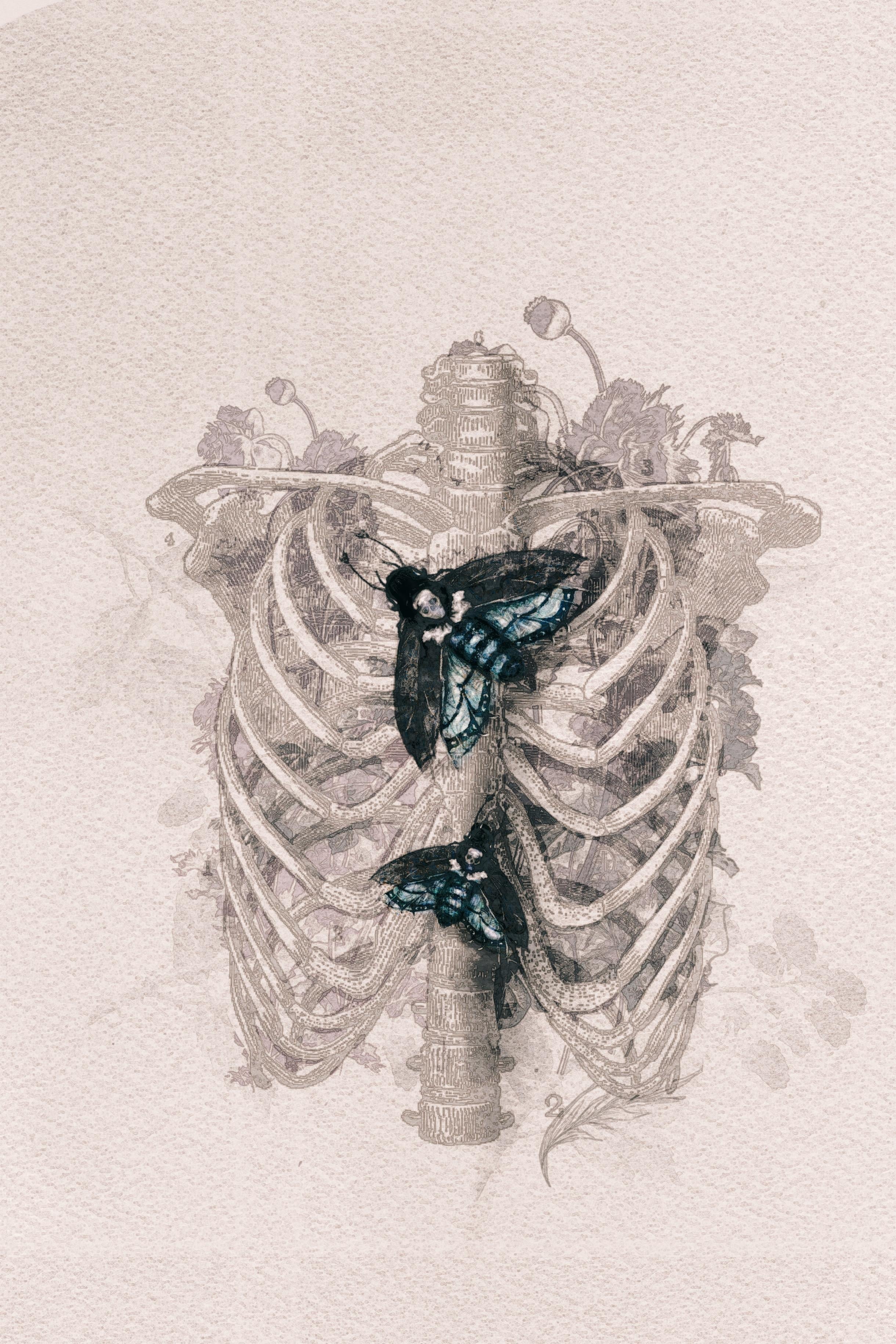 Death moth - student project