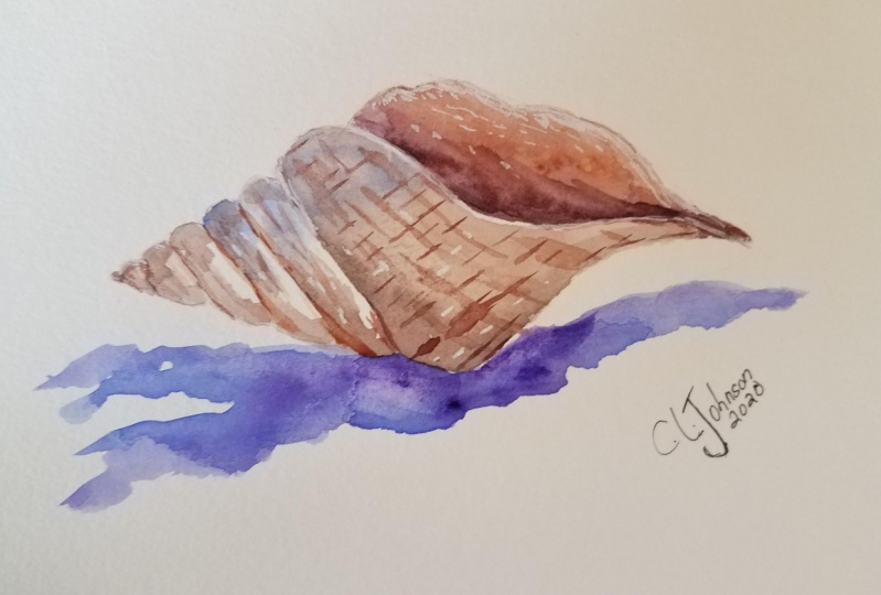 seashell