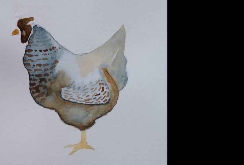 Beginner Watercolor: Let's paint a chicken
