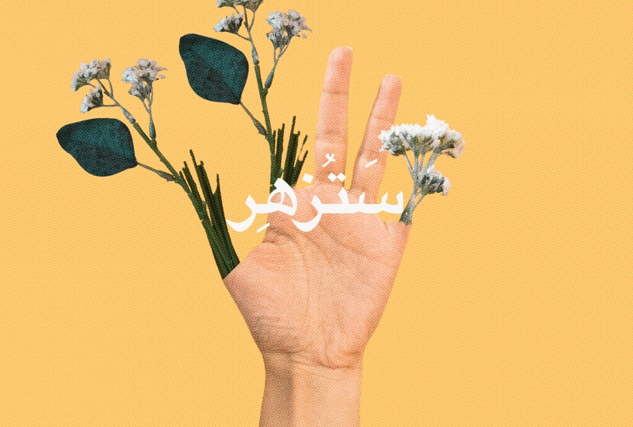 ستزهر - student project