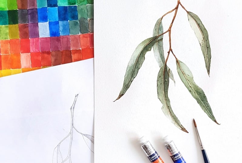 Learning Botanical Art in Watercolors
