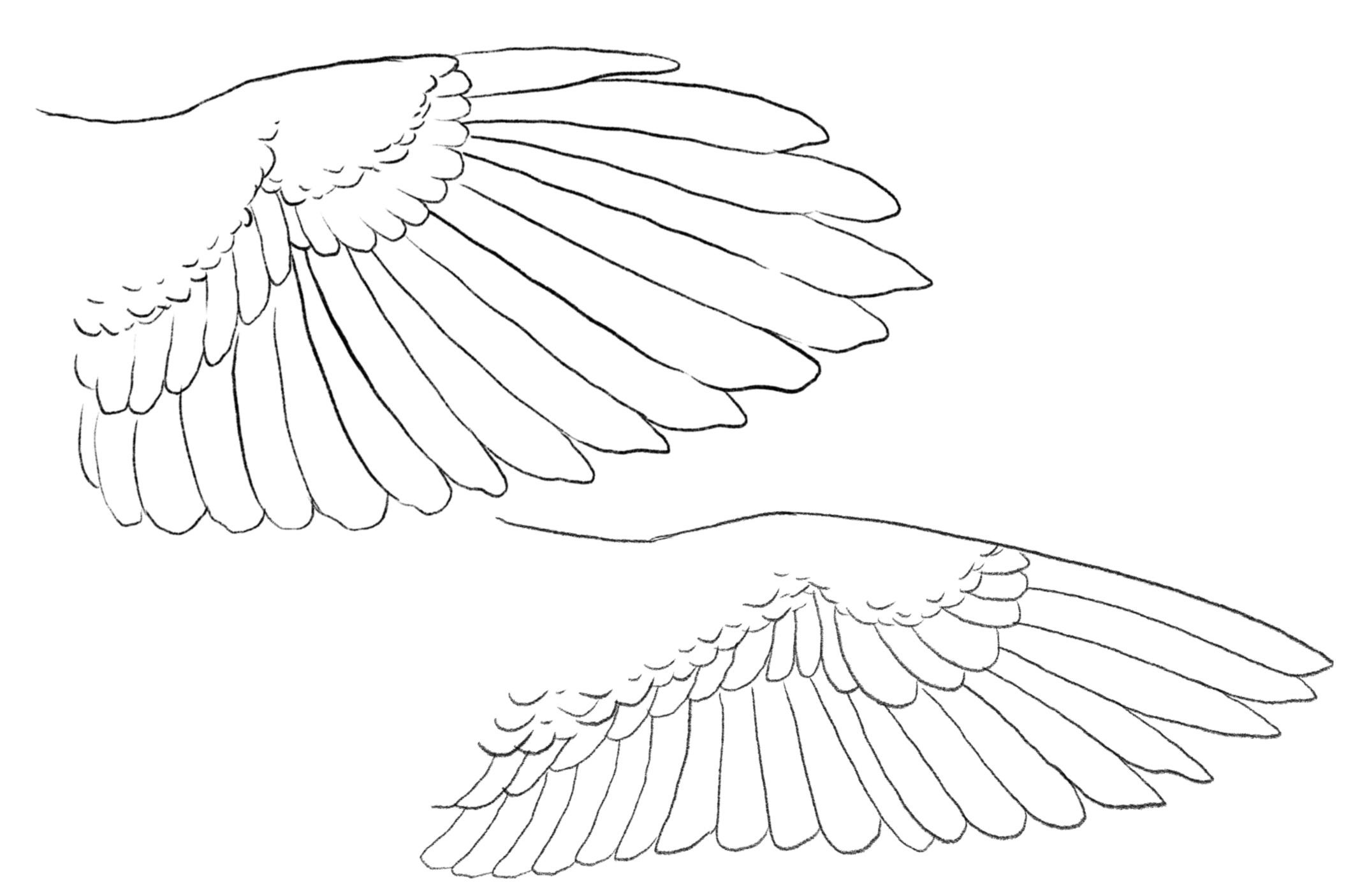 more-projects-from-class-img