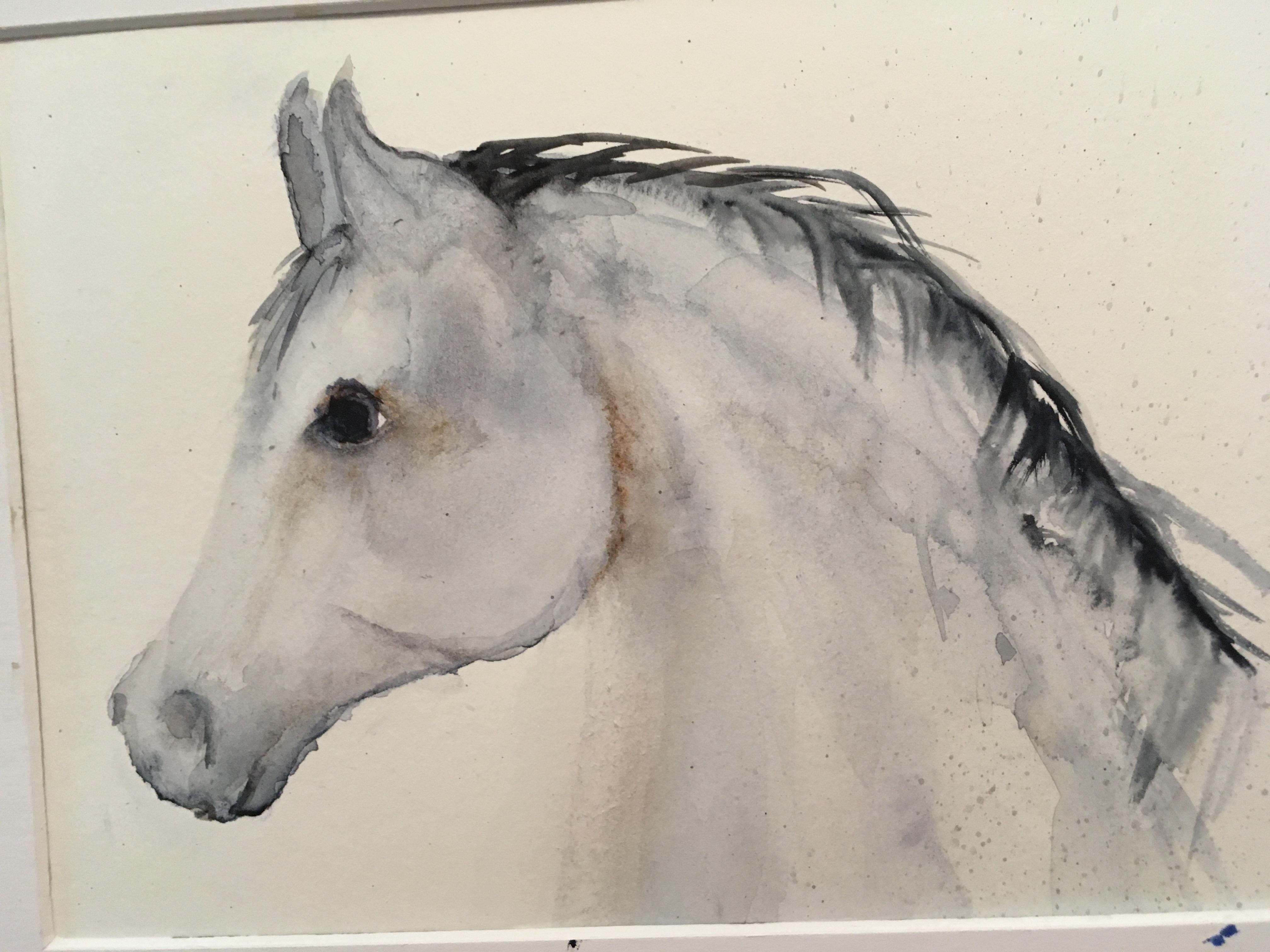 arabian horse - student project